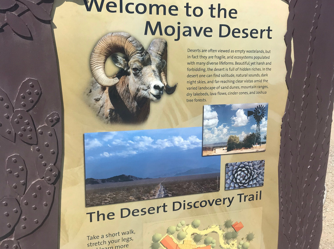 Mojave National Preserve景点图片