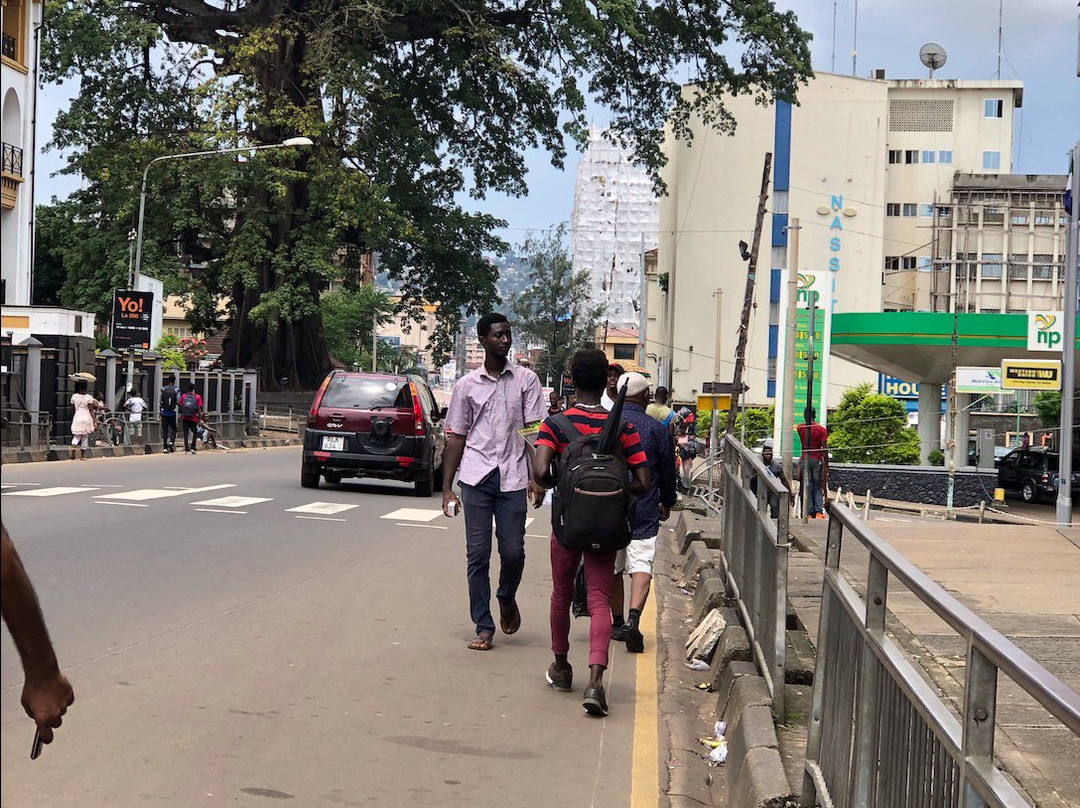 Cotton Tree-弗里敦必去景点