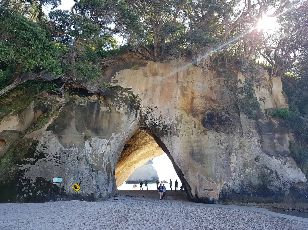 Kiwi Day Trips景点图片