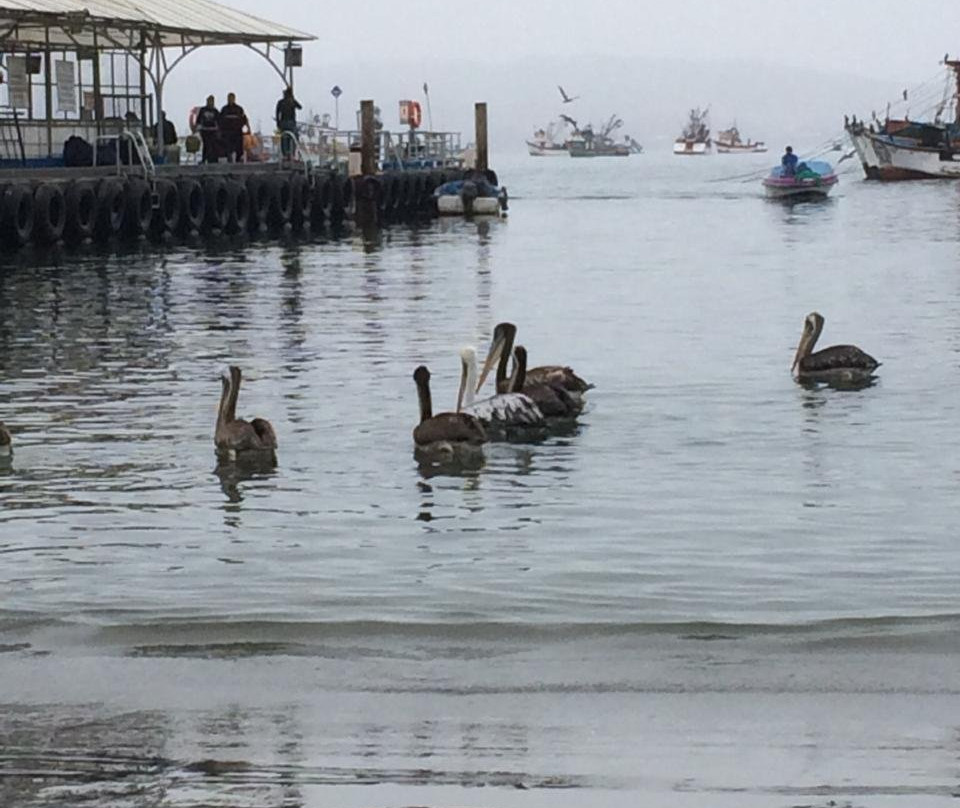 Atracadero Artesanal "El Chaco"-帕拉卡斯必去景点