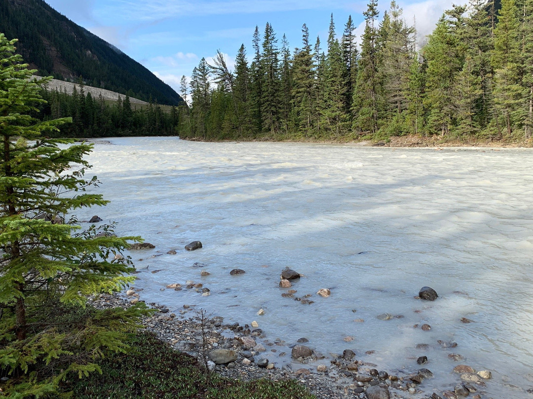 Kicking Horse River景点图片