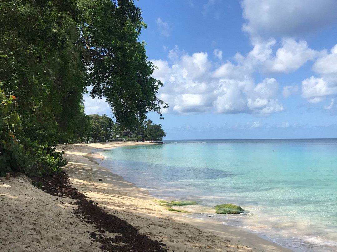 Gibbs Beach-Saint Peter Parish必去景点