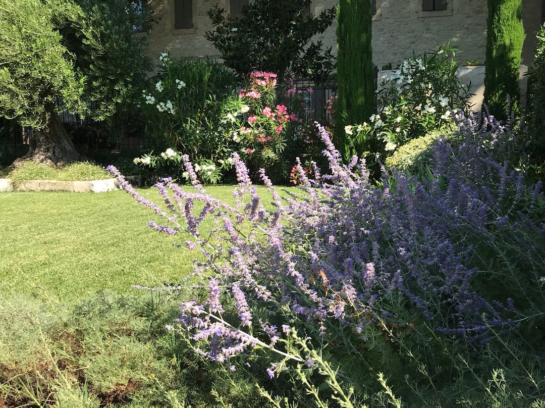 Domaine Clos Saint Estève主图