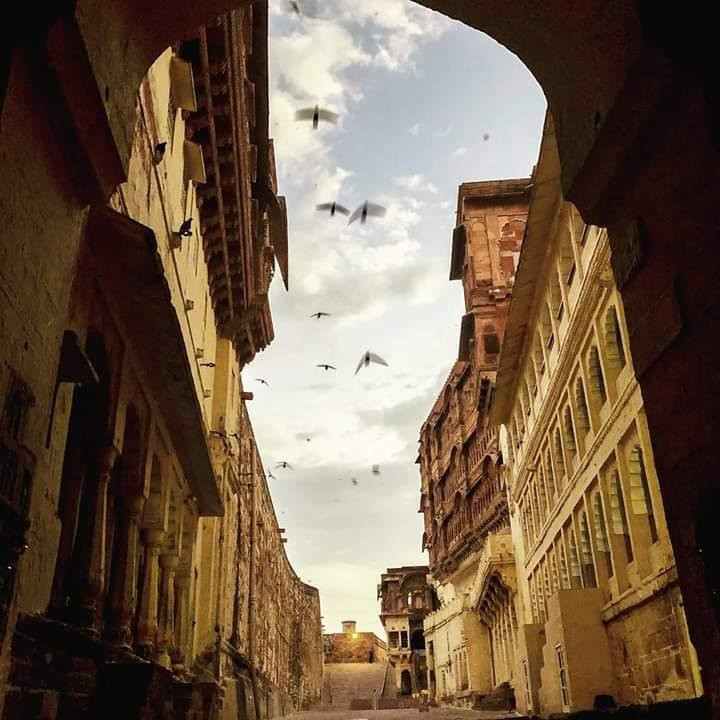 GANGA SINGH RATHORE-焦特布尔必去景点