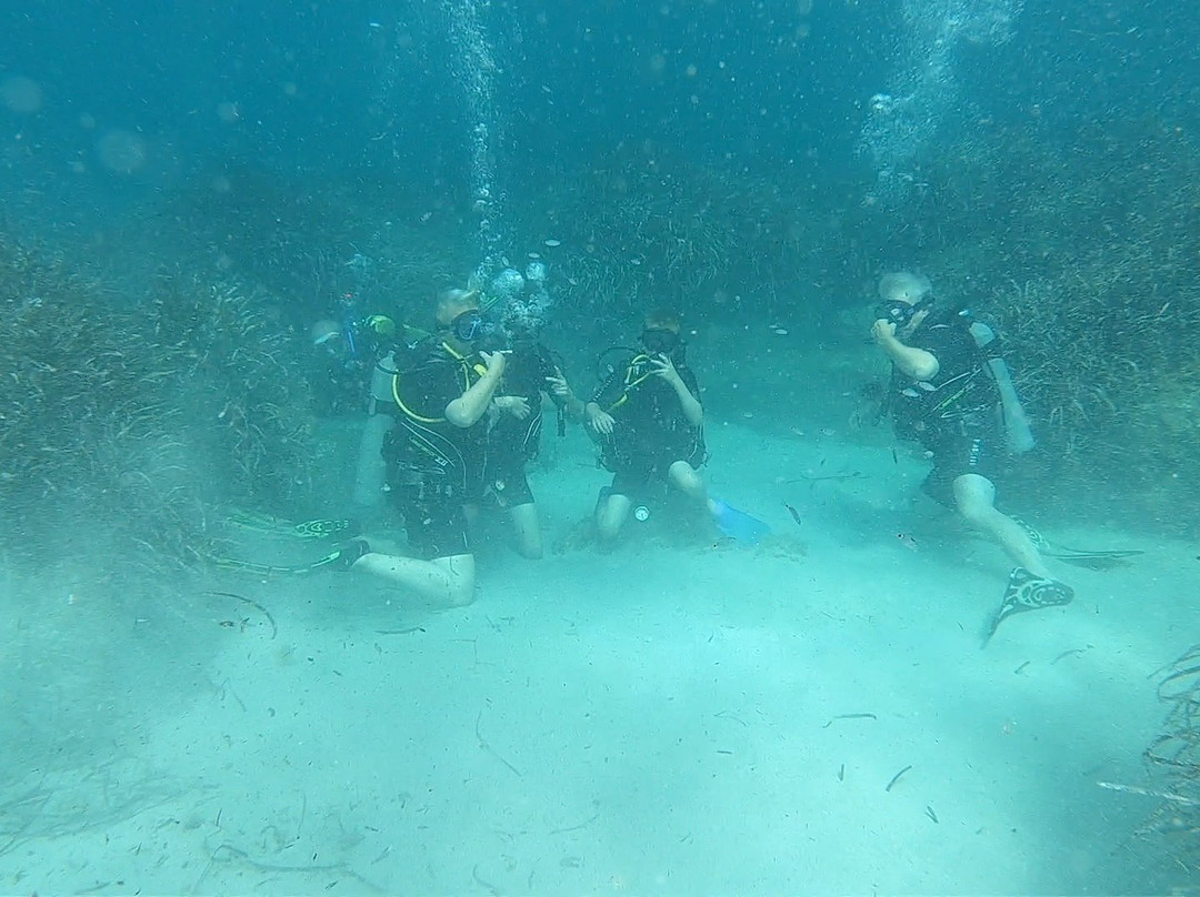 H2O Scuba Academy景点图片