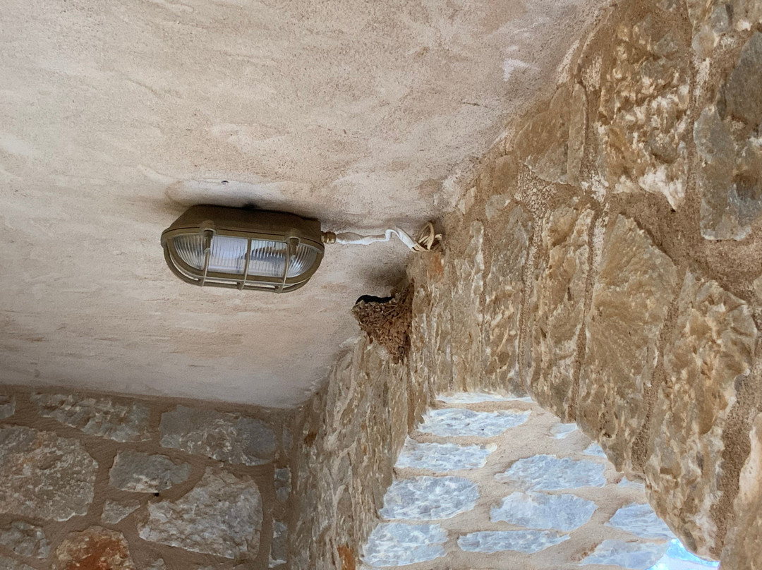 Psamathous Guest House主图