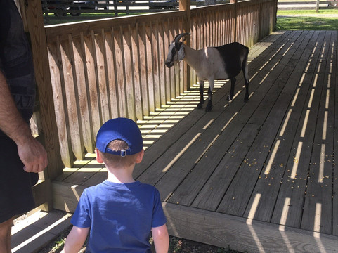 Farmland Animal Park-Chemung必去景点