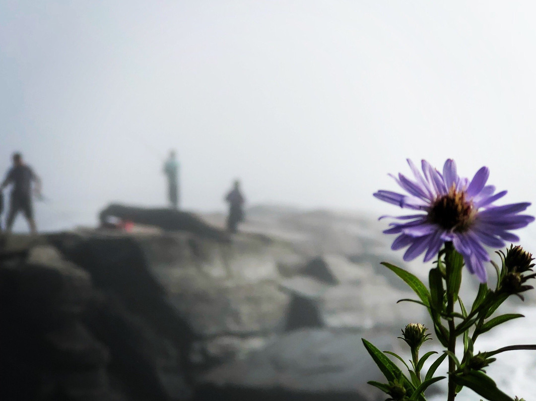 Two Lights State Park景点图片