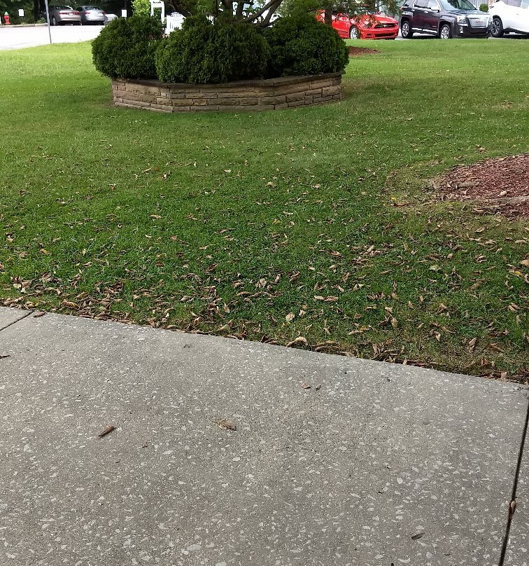 Cumberland County Courthouse景点图片