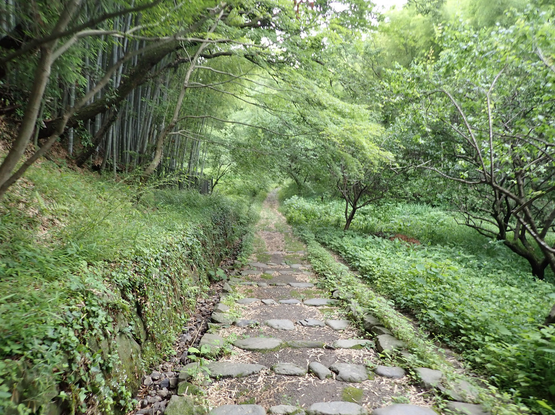 Ozenji Temple-川崎市必去景点