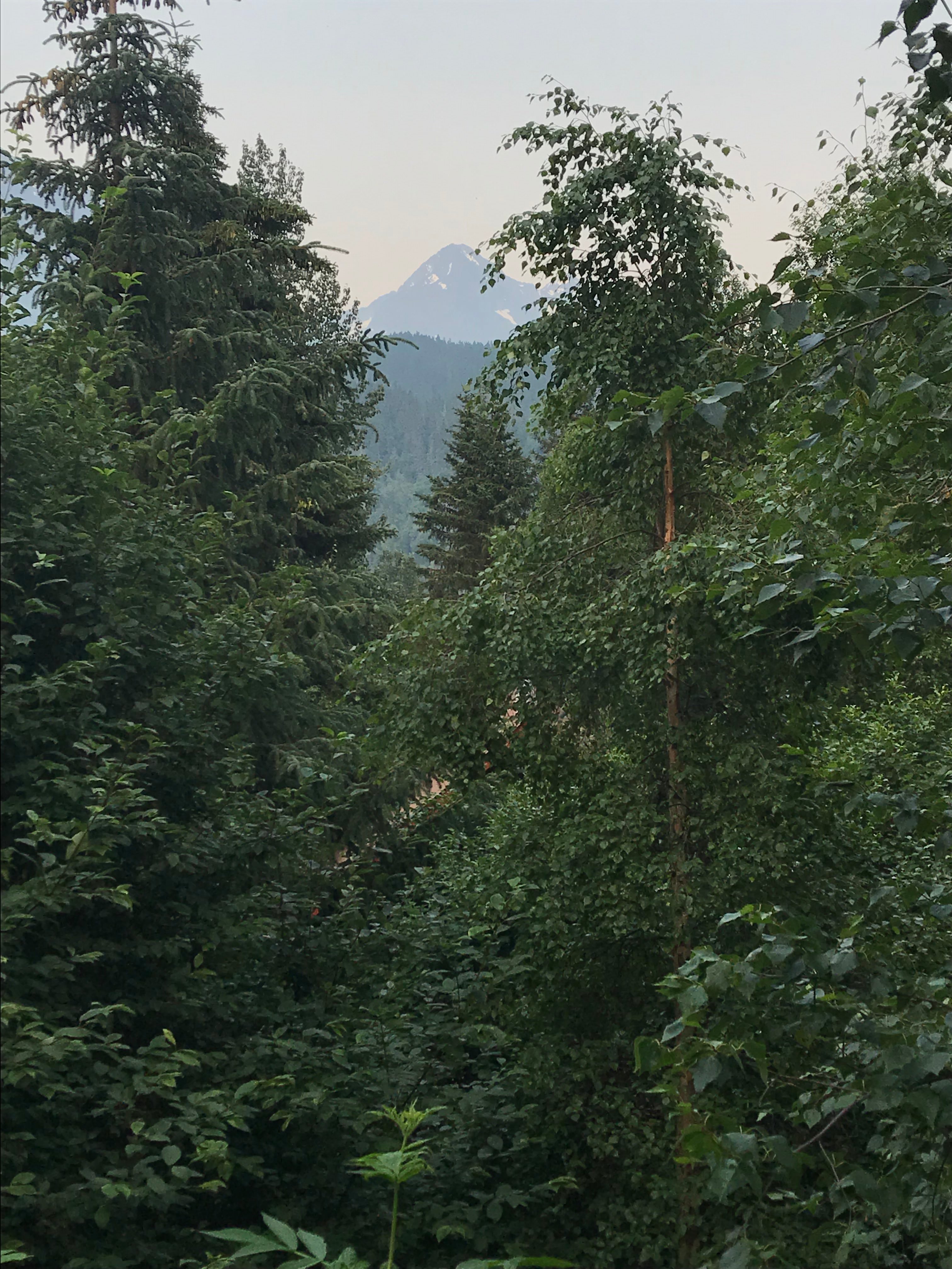 Midnight Sun Log Cabins-酒店景观