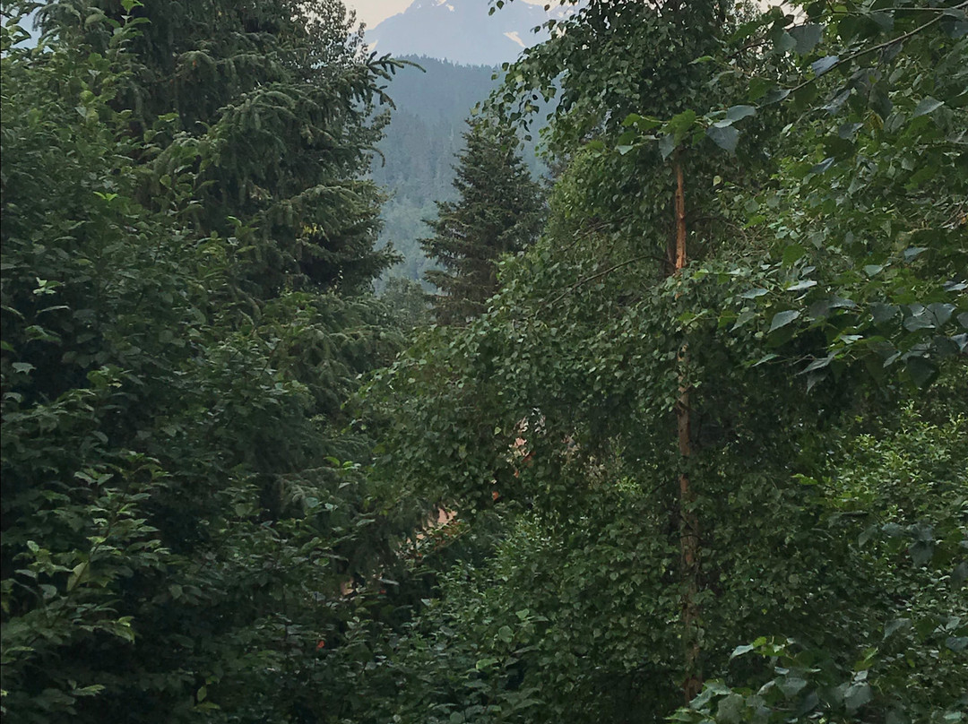 Midnight Sun Log Cabins主图