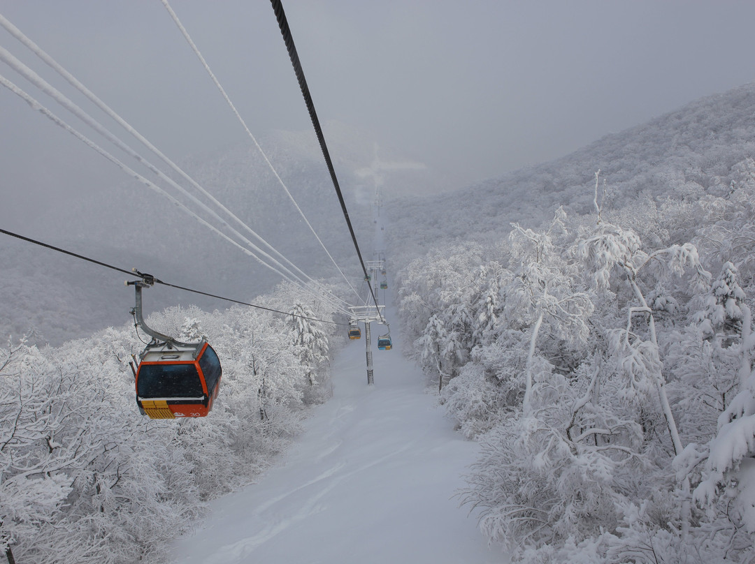 Yongpyong Resort Blisshill Stay主图
