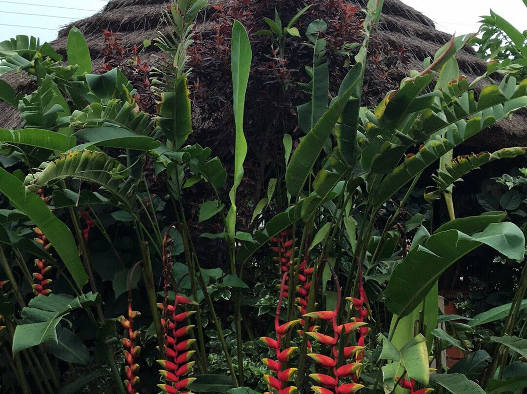 High Court View Hotel主图