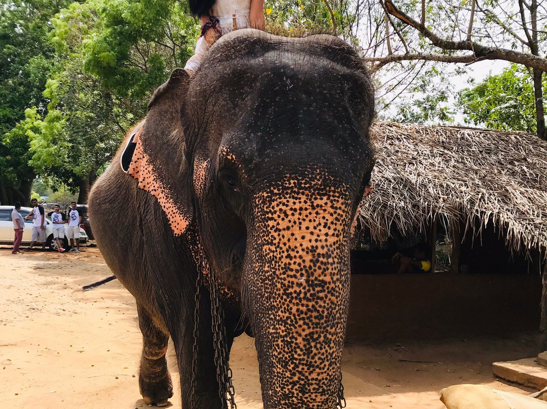 Naja Lanka Travels & Toures-尼甘布必去景点