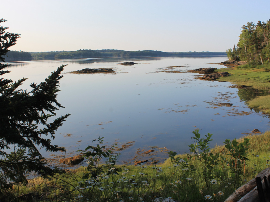 Cobscook Bay State Park景点图片