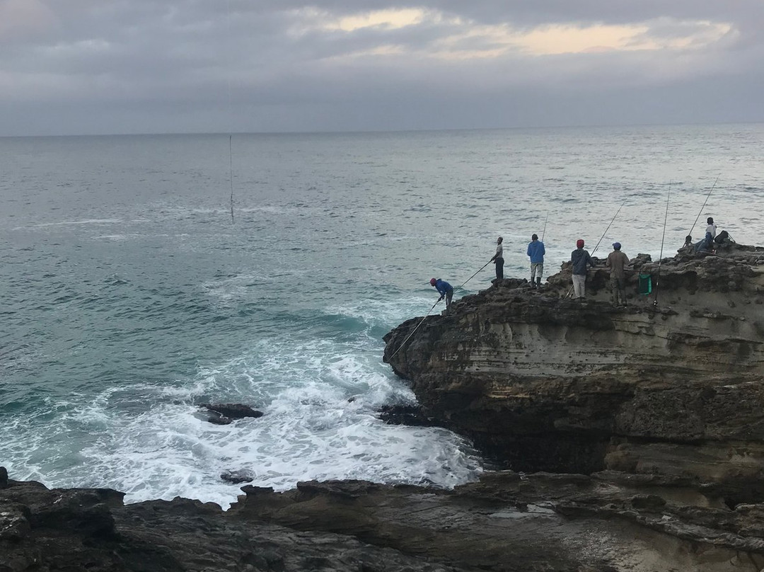 Wild Side Hiking-Port St Johns必去景点