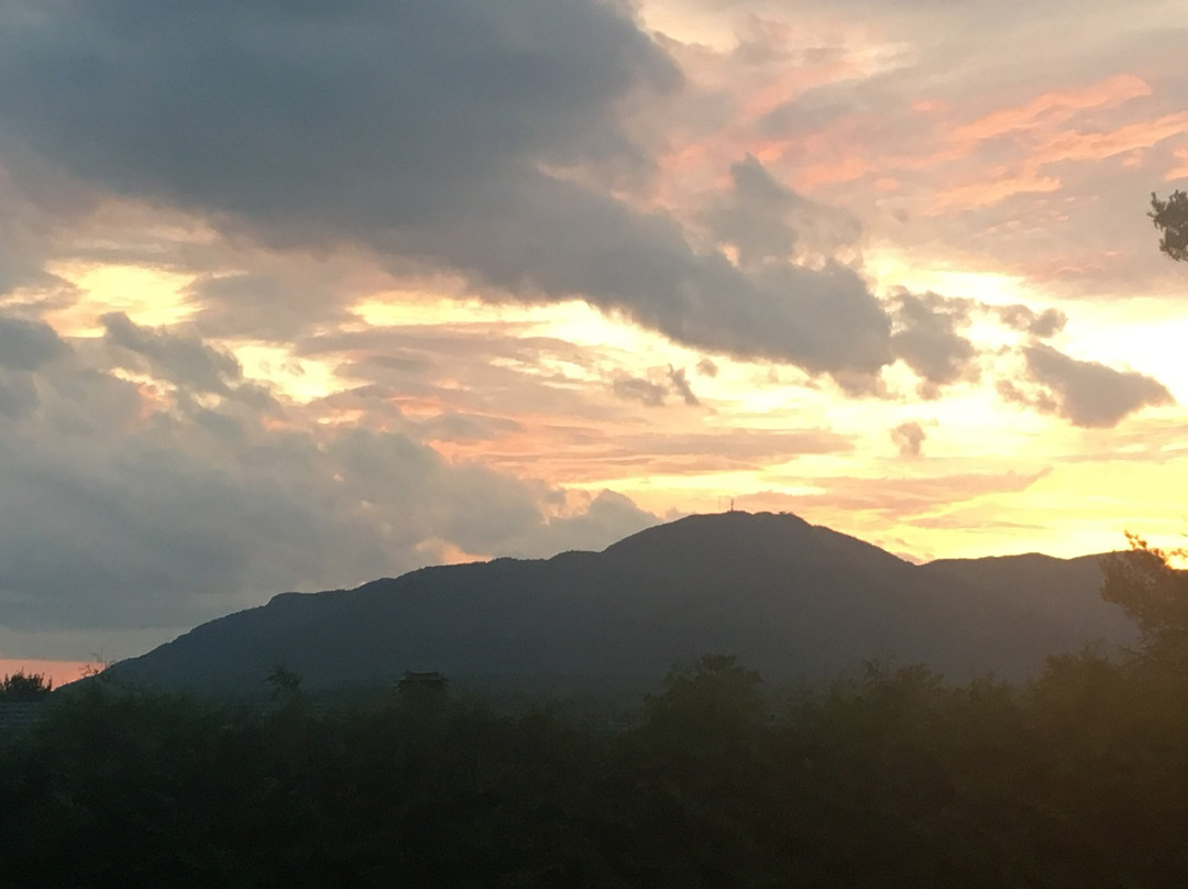 La Maison de Ville - Bed & Bistro主图