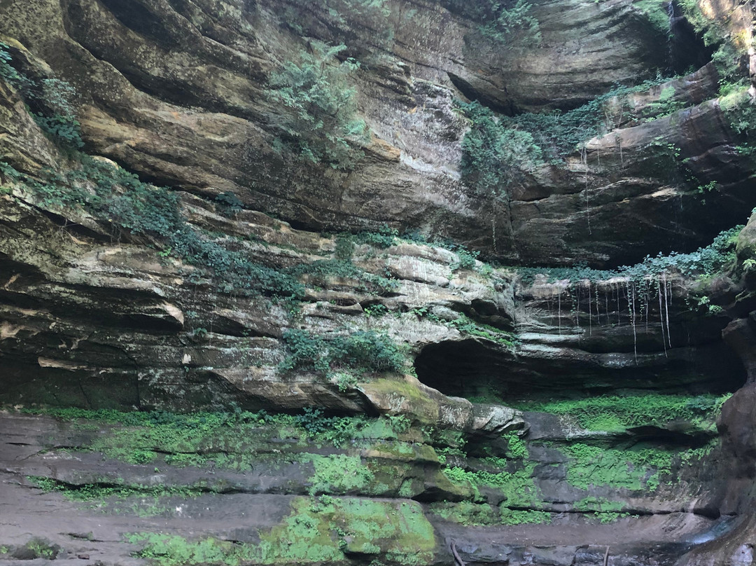 饥饿岩石州立公园-奥格尔斯比必去景点