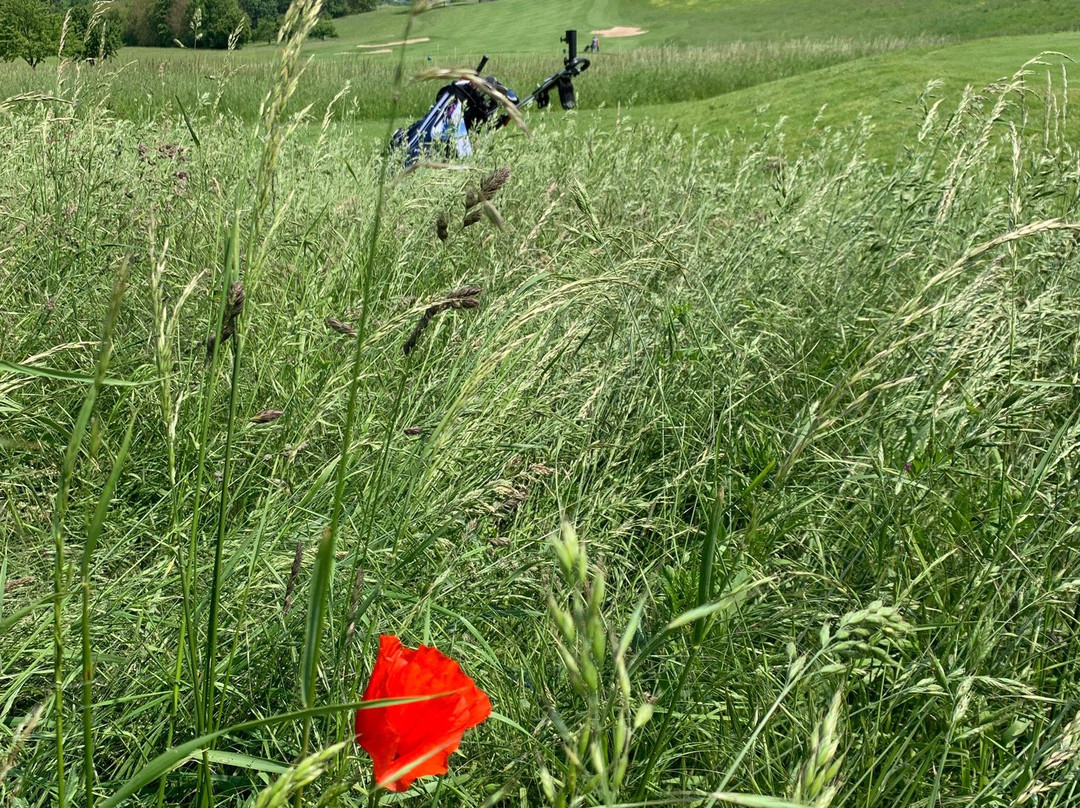 Golf Club Bruchsal景点图片