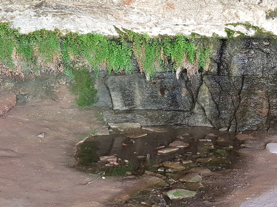 Cave Spring-峡谷地国家公园必去景点