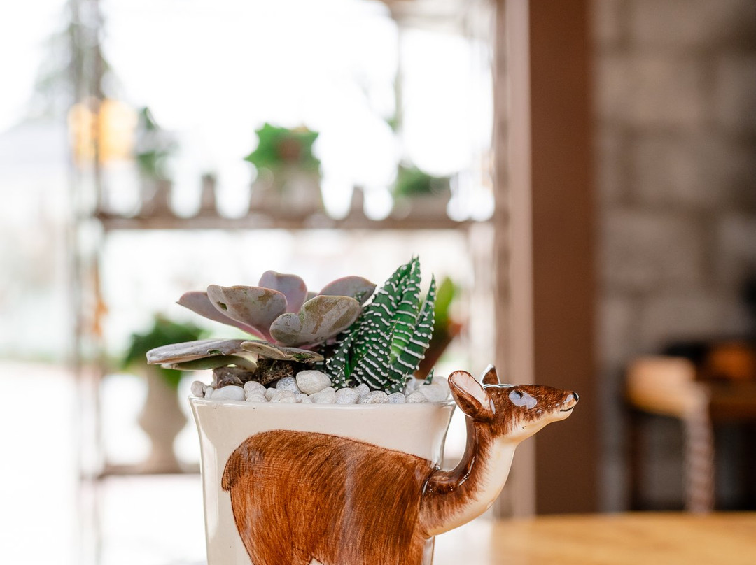 Metamora General Store-Metamora必去景点