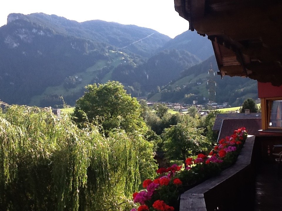 Alpenhotel Ramsauerhof-酒店景观