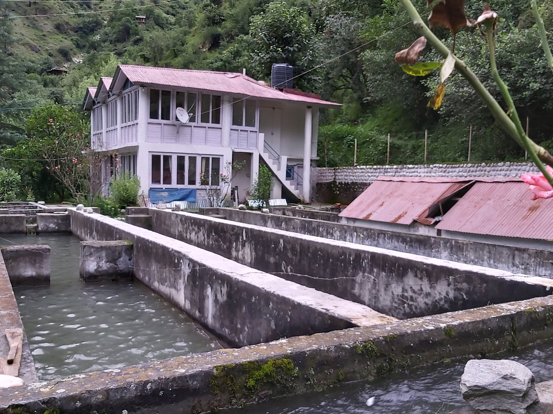 The Himalayan Trout House主图