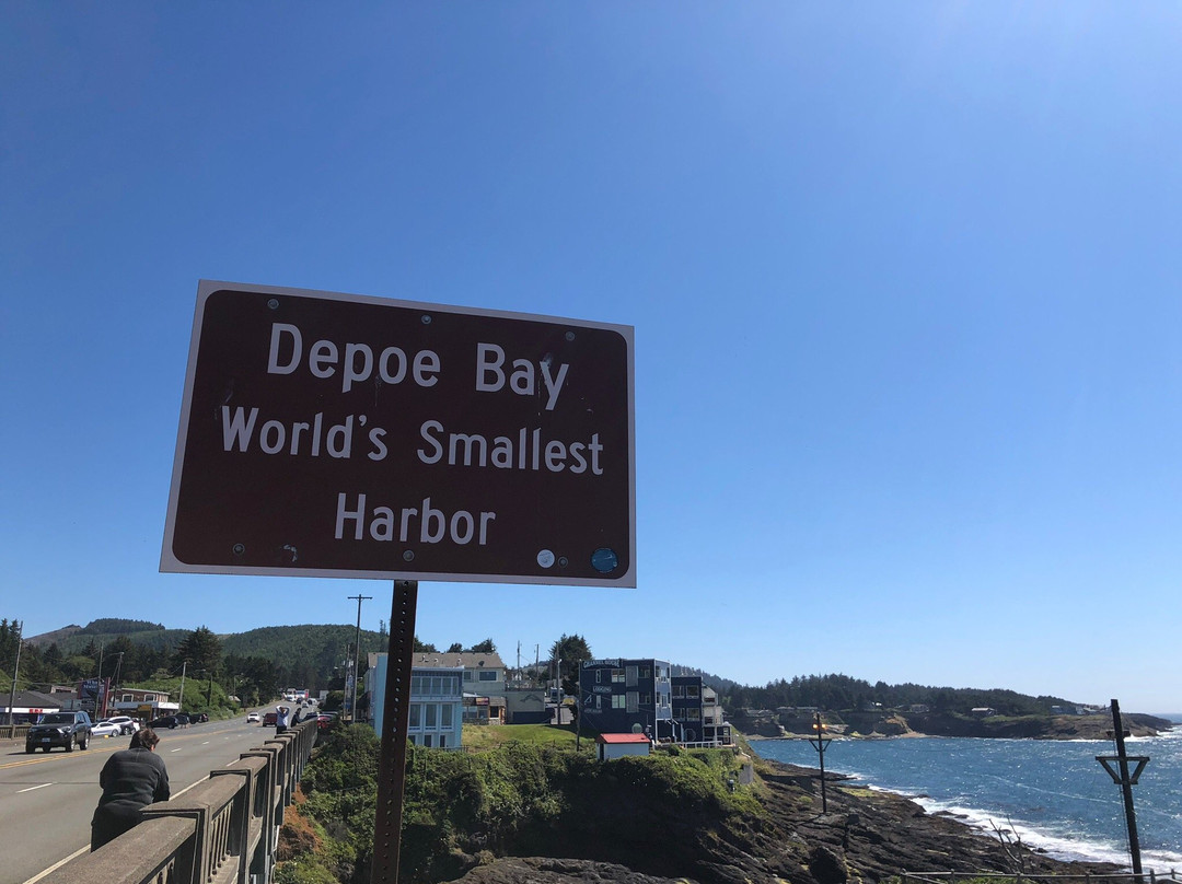 Otter Crest Loop-Depoe Bay必去景点