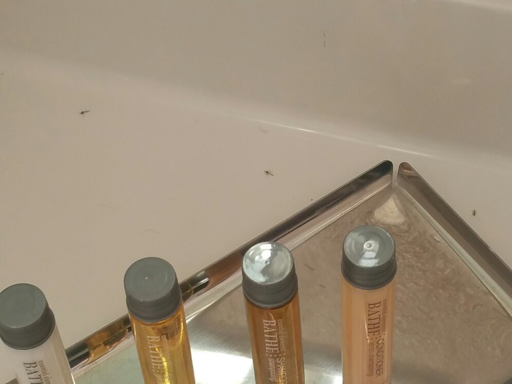 Cerulean Hotel主图