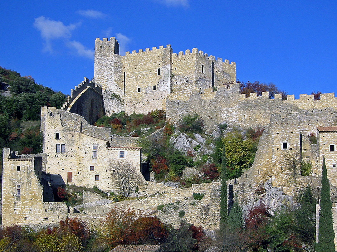 Château de Saint-Montan景点图片