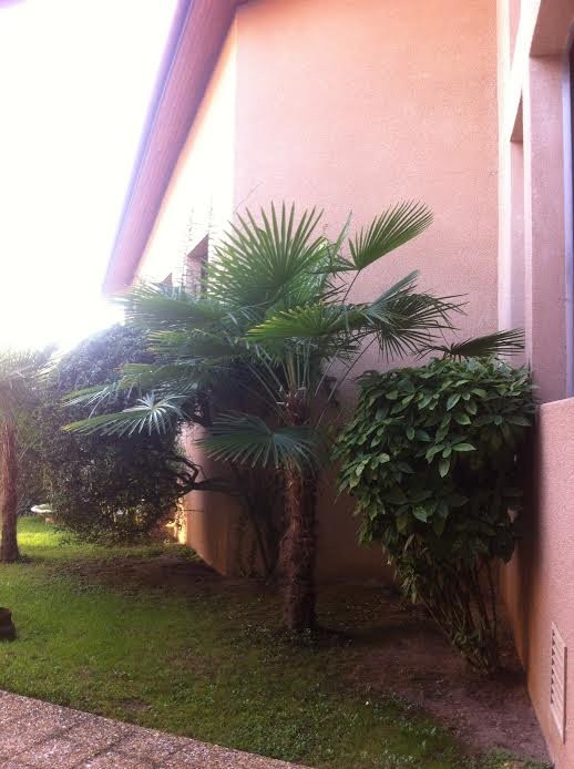 Hotel Restaurant de la Paix主图