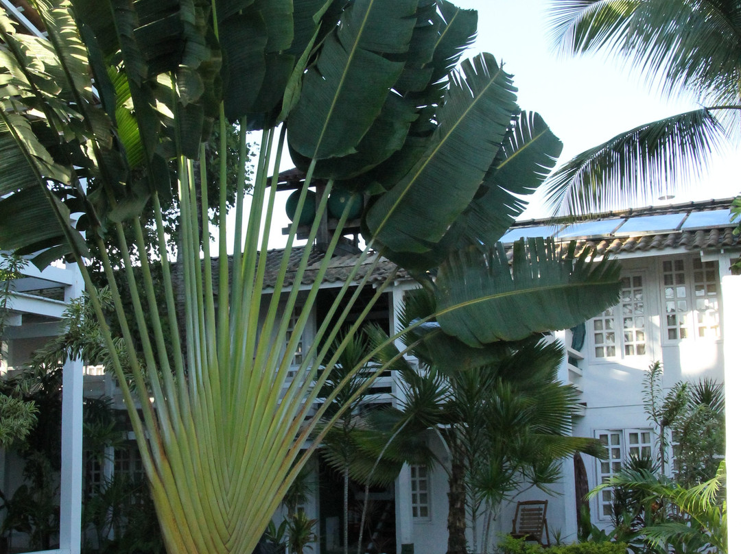 Aquarela Praia Hotel主图