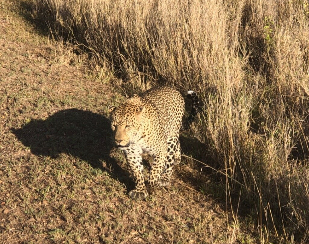 Livets Resa-阿鲁沙必去景点