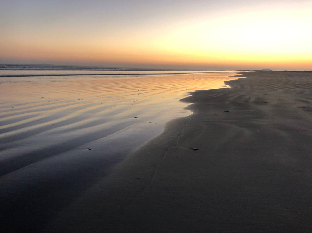 Hotel Mision Santa Maria主图