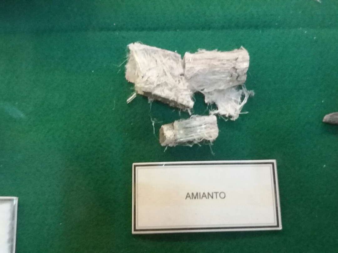 Natural Science Museum-瓜鲁柳斯必去景点