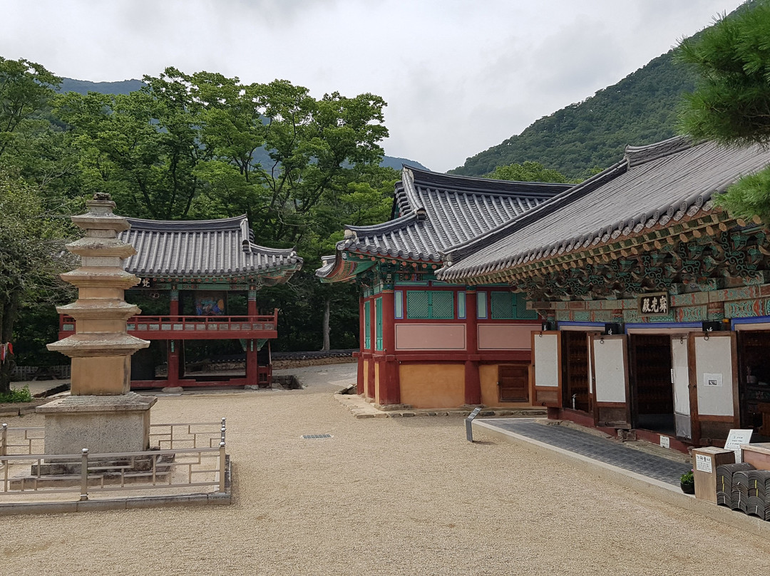 Bogyeongsa Temple景点图片