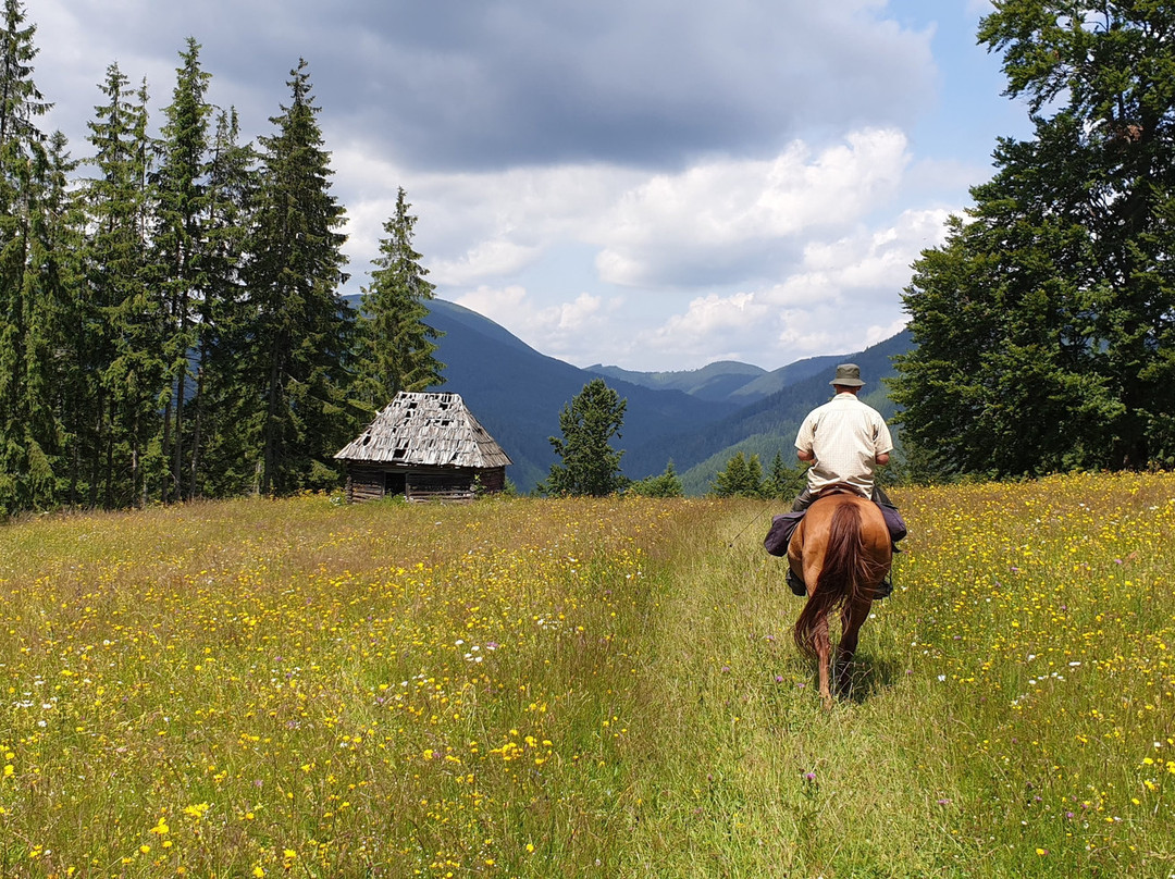 Carpathian Escapes景点图片