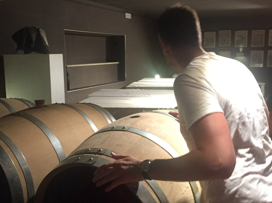 PUGLIA WINE TOUR & TASTING-莱切必去景点