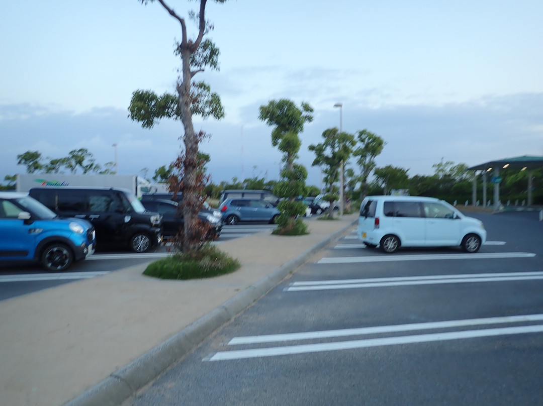 Wangan Nagashima Parking Area Inbound-桑名市必去景点