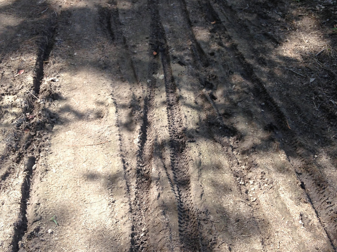 Harbison State Forest-哥伦比亚必去景点