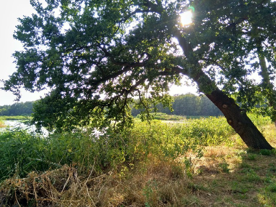 Dolina Bystrzycy Landscape Park景点图片