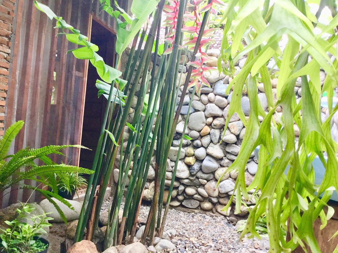 Thousand Hills Ketambe主图