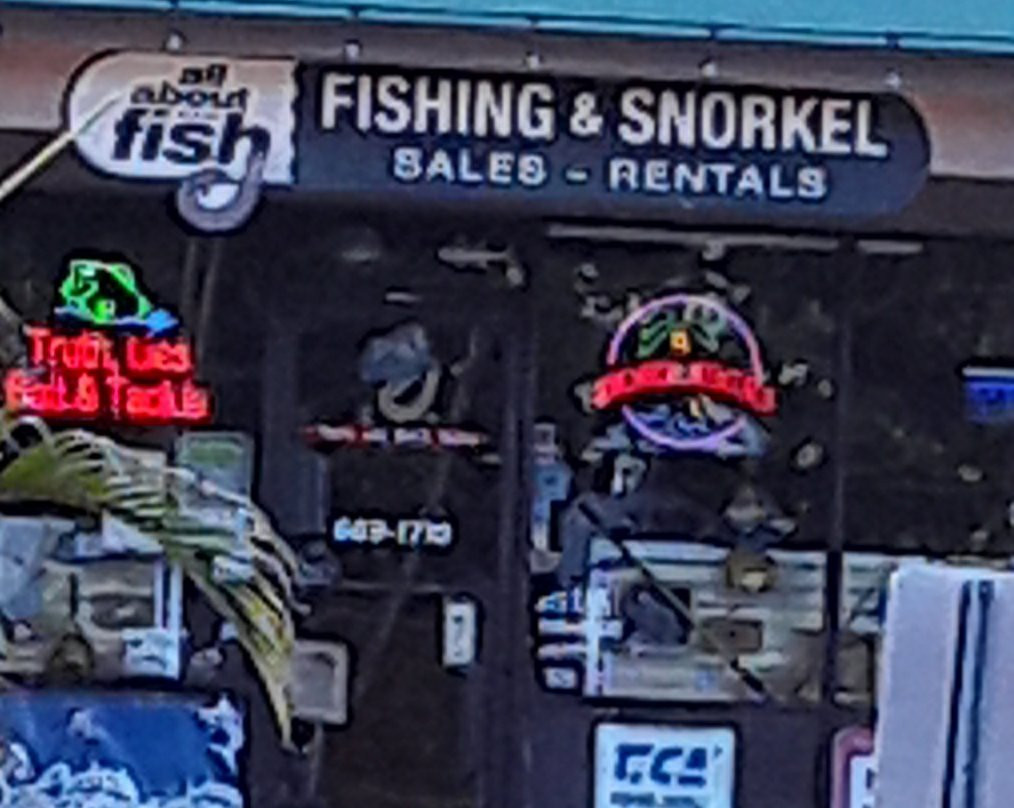 All About Fish-拉海纳必去景点