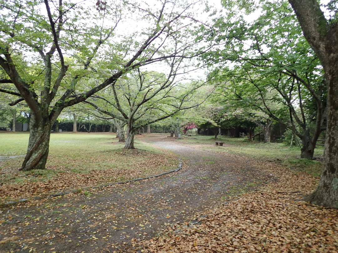 Utoshiroyama Park景点图片