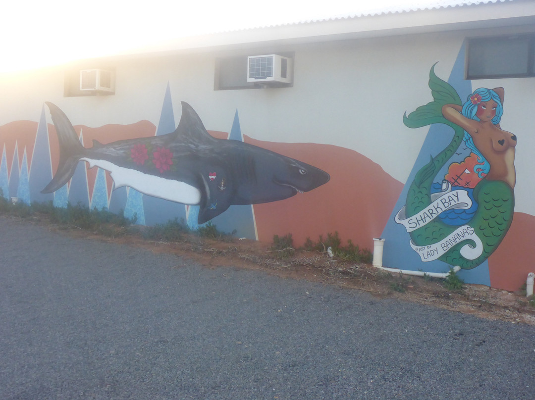 Shark Bay Hotel主图