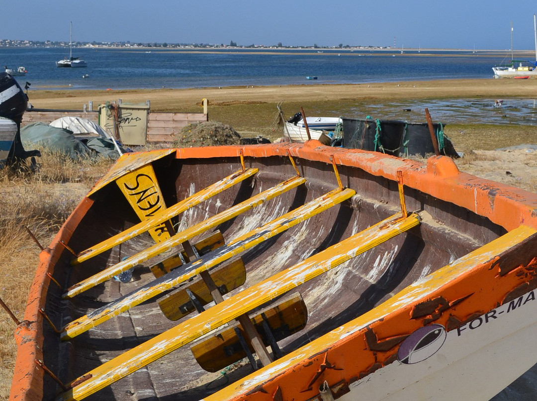 ODYSSEY - Ria Formosa Boat Tours景点图片