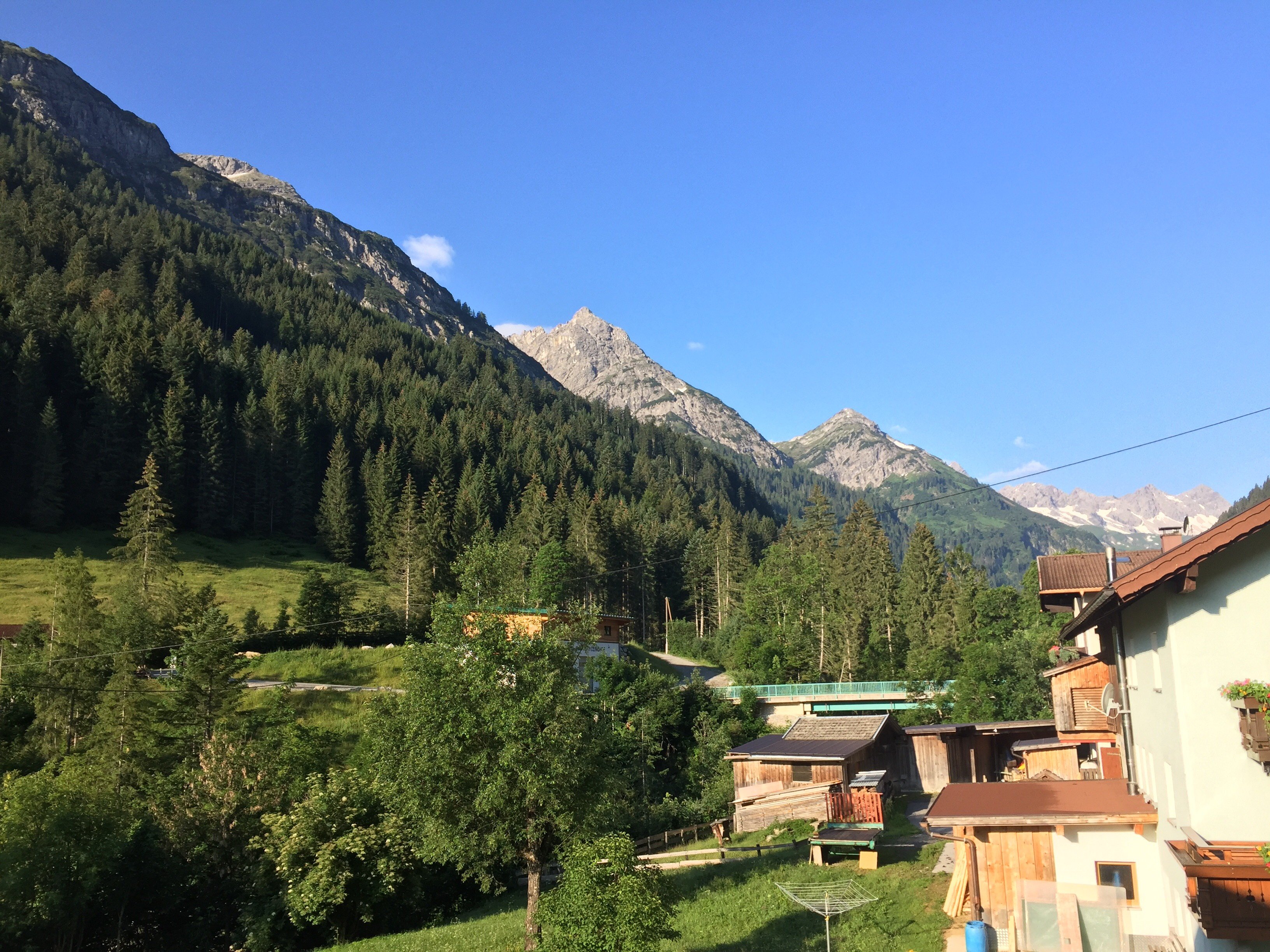 Berghof am Schwand-酒店景观