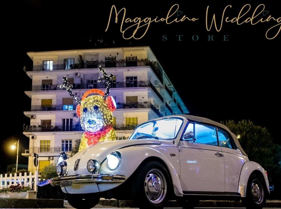 Maggiolino wedding experience-萨勒诺必去景点