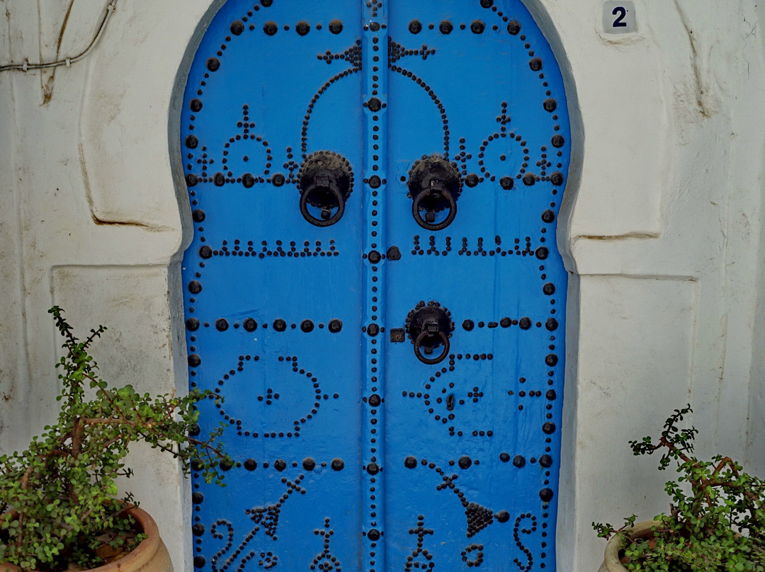 The doors of the medina-突尼斯必去景点